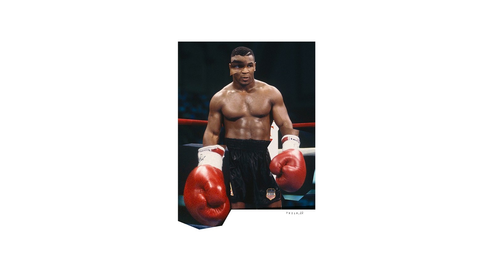 Collage de Mike Tyson — txelostudio