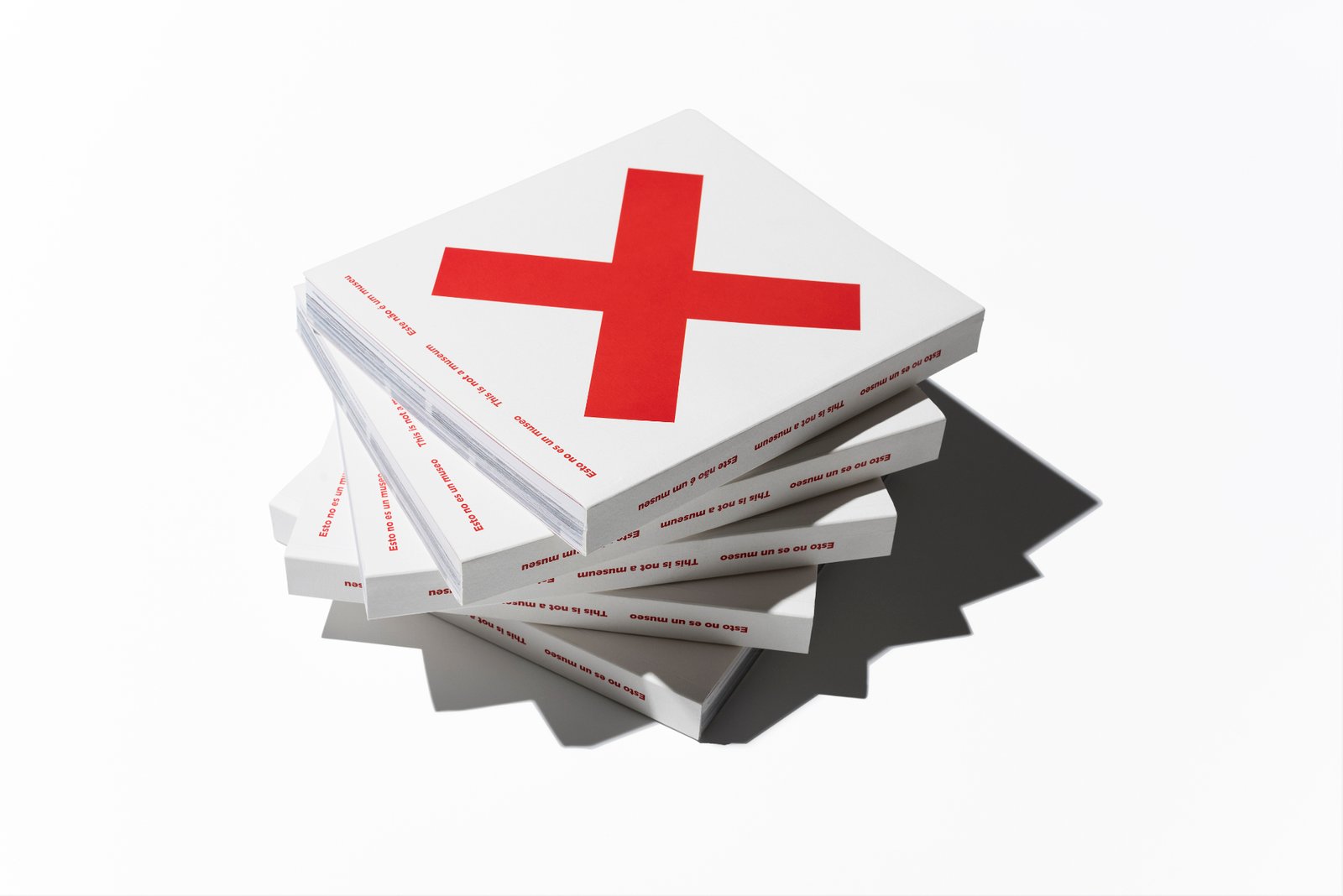 ACVIC — imatge 02 de txelostudio