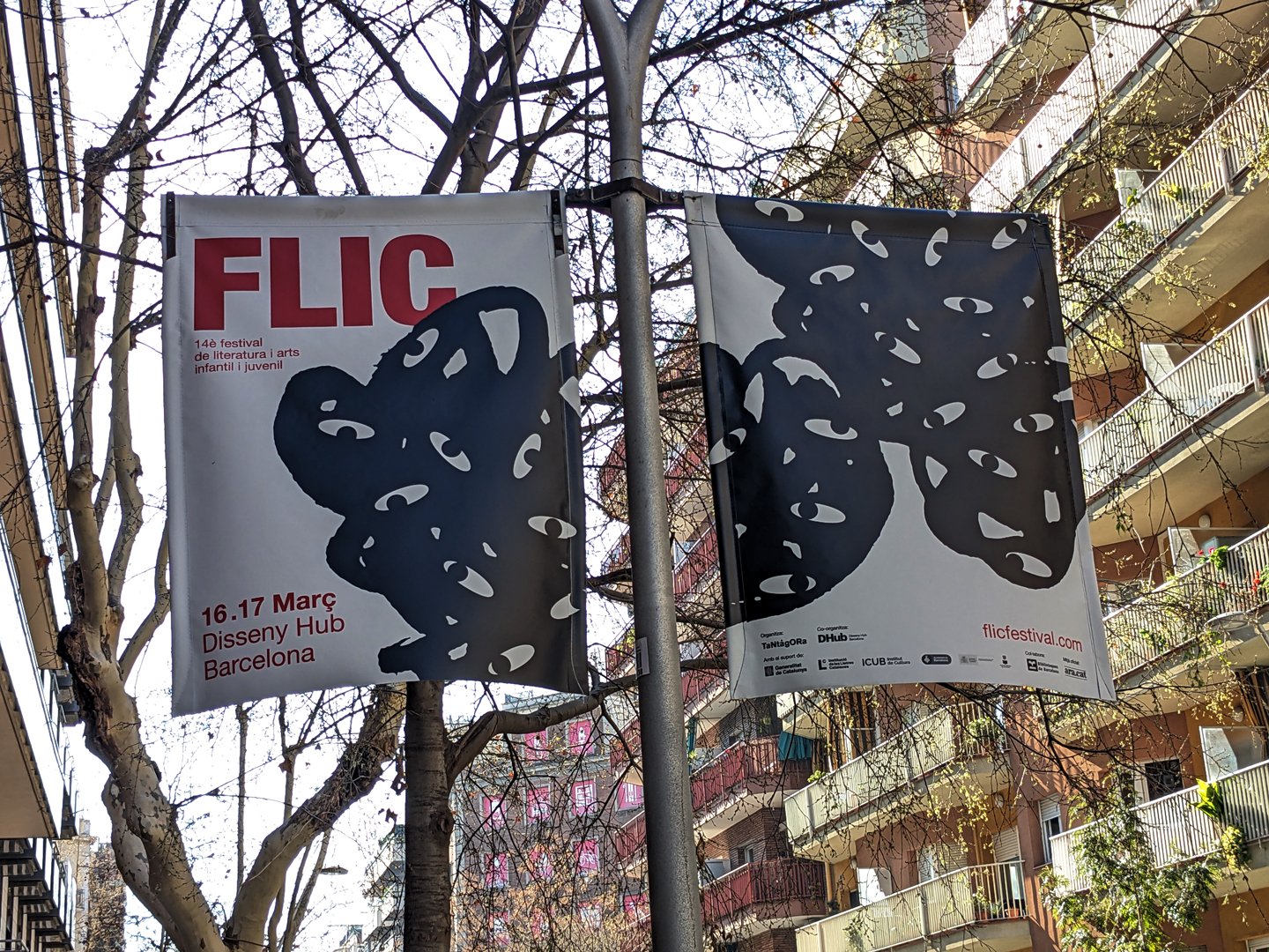 FLIC — imatge 08 de txelostudio